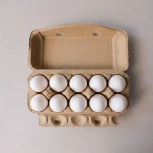The 10-egg paper trays