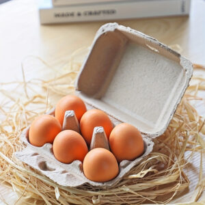 The 6-egg carton paper tray